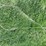 #5626-•-cable-image-1