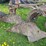 #5586-•-moldboard-plow-image-12
