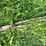 #5627-•-(3)-cables-image-2