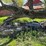 #5601-•-misc.-shop-image-1