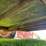 #5577-•-utility-trailer-image-20