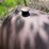 #5617-•-portable-fuel-tank-image-7