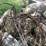#5605-•-scrap-metal-image-5
