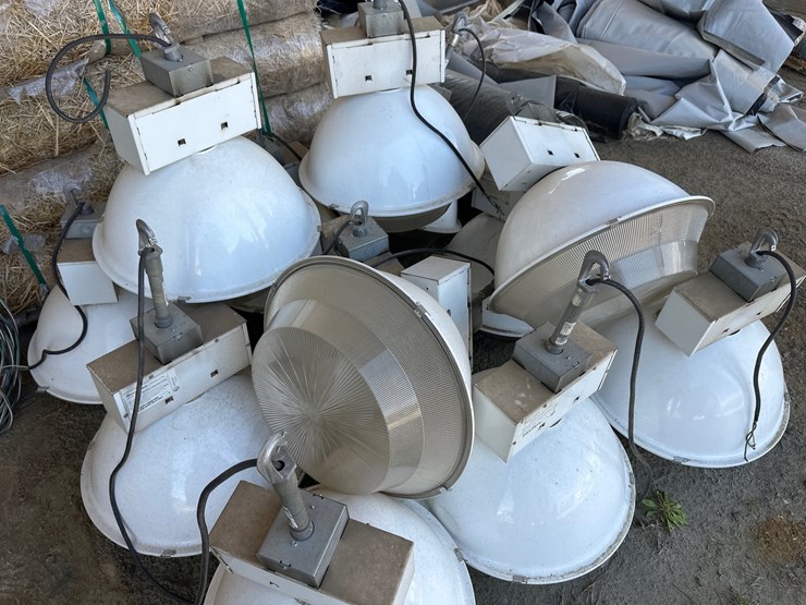 #47-•-large-white-lights-image-5