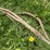 #5627-•-(3)-cables-image-7