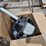 #8-•-wppo-18-volt-rechargeable-ash-vacuum-image-5