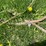 #5627-•-(3)-cables-image-9