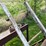 #5620-•-tilt-table-belt-driven-36"-saw-image-9
