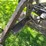 #5621-•-antique-adjustable-height-and-angle-pull-behind-road-grader-image-19