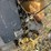 2015-unknown-unknown-image-2