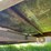 #5577-•-utility-trailer-image-21