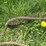 #5625-•-(4)-cables-image-11