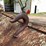#5631-•-large-excavator-bucket-image-10