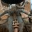 ford-tractor-image-26