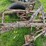 #5586-•-moldboard-plow-image-10