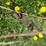 #5627-•-(3)-cables-image-5