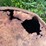 #5618-•-fiber-glass-feed-cart-image-16
