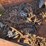 #5575-•-heavy-duty-trailer-image-14