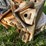 #5603-•-bird-houses-image-7