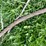 #5626-•-cable-image-2