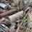 #5605-•-scrap-metal-image-13