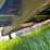 #5575-•-heavy-duty-trailer-image-29