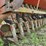 massey-ferguson-10-image-5