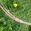 #5625-•-(4)-cables-image-12