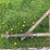 #5586-•-moldboard-plow-image-21