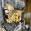 2015-caterpillar-c11-image-3