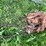 #5624-•-(1)-cable-image-1