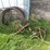 #5630-•-cables-image-1