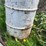 #5618-•-fiber-glass-feed-cart-image-18
