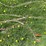 #5625-•-(4)-cables-image-1