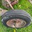 #5586-•-moldboard-plow-image-14