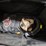 #10-•-dirt-bike-helmets,-case,-ice-bags-image-3