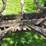 #5621-•-antique-adjustable-height-and-angle-pull-behind-road-grader-image-11
