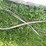 #5629-•-(2)-cables-image-8