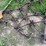 #5608-•-7'-fine-tooth-drag-image-2
