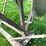 #5620-•-tilt-table-belt-driven-36"-saw-image-15