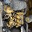 2014-caterpillar-c11-image-2