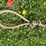 #5623-•-(1)-cable-image-1