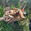 #5603-•-bird-houses-image-2