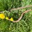 #5624-•-(1)-cable-image-6