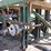 c&l-25'-4-strand-heavy-duty-log-deck-w/-stop-&-loader-w/-heavy-duty-hydraulic-drive-image-5
