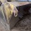 #5557-•-hough-120-payloader-image-54