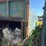 #22-•-compact-dumpster-image-7