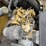 2016-caterpillar-c11-image-3