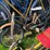 #5635-•-(5)-items-image-4