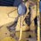 #5557-•-hough-120-payloader-image-16